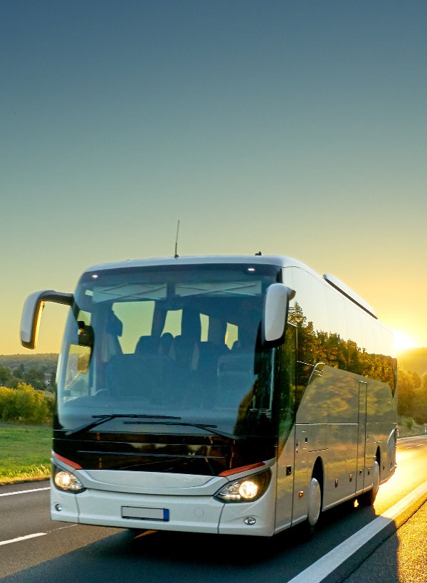 Bus- und Rundreisen